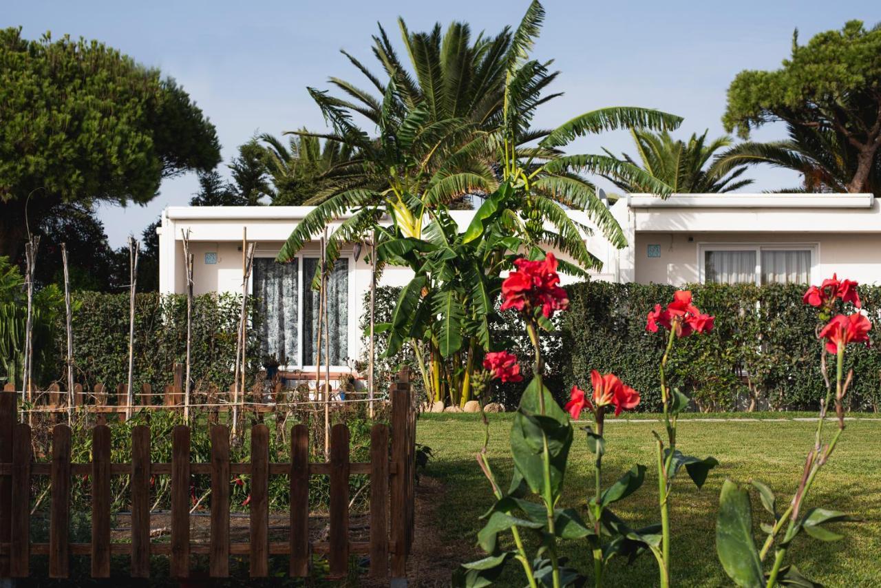 Maison d'hôtes Casara Seis O Casara Siete - Tu Casa A 100M De La Playa De Zahora Extérieur photo