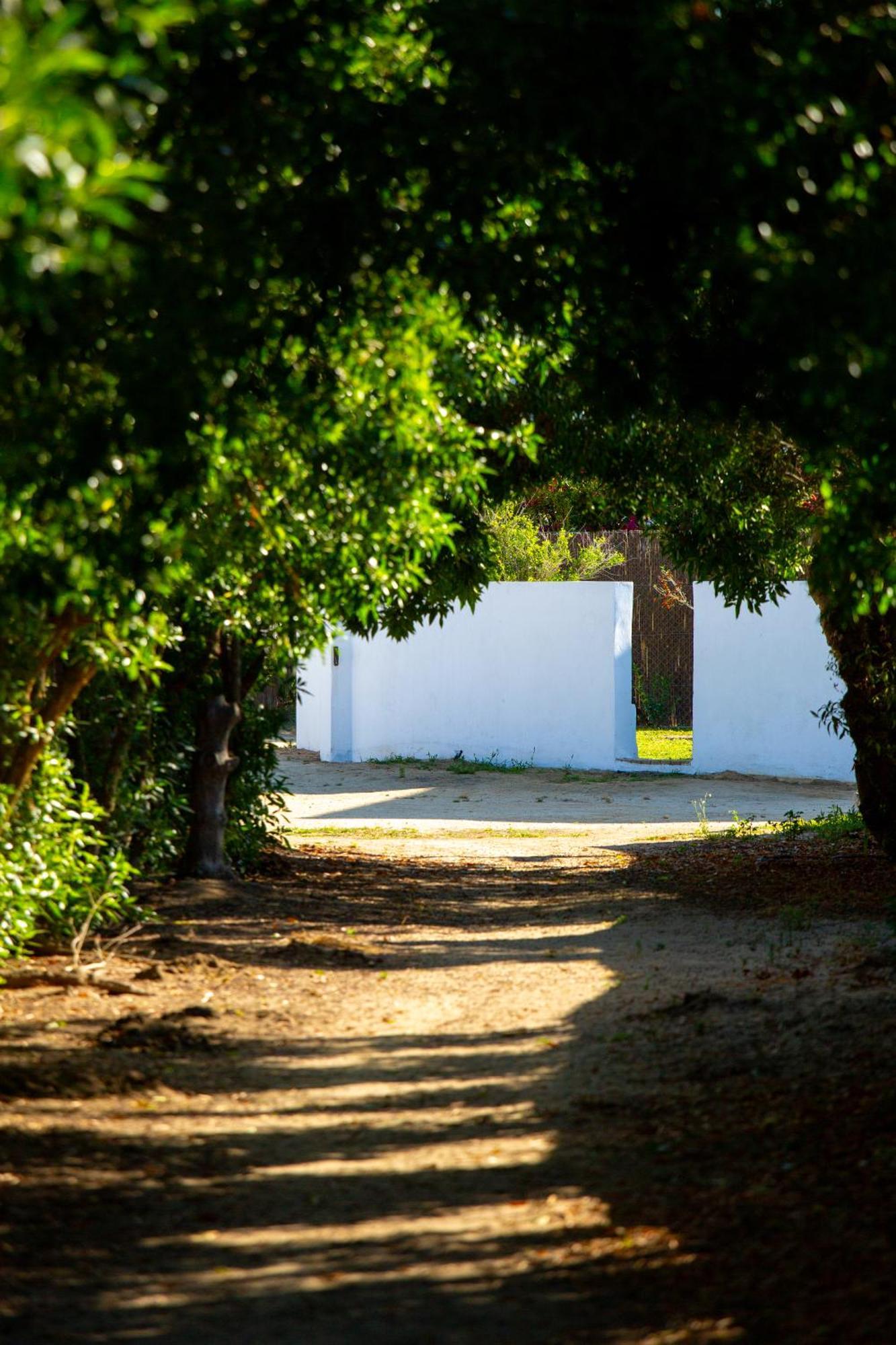 Maison d'hôtes Casara Seis O Casara Siete - Tu Casa A 100M De La Playa De Zahora Extérieur photo