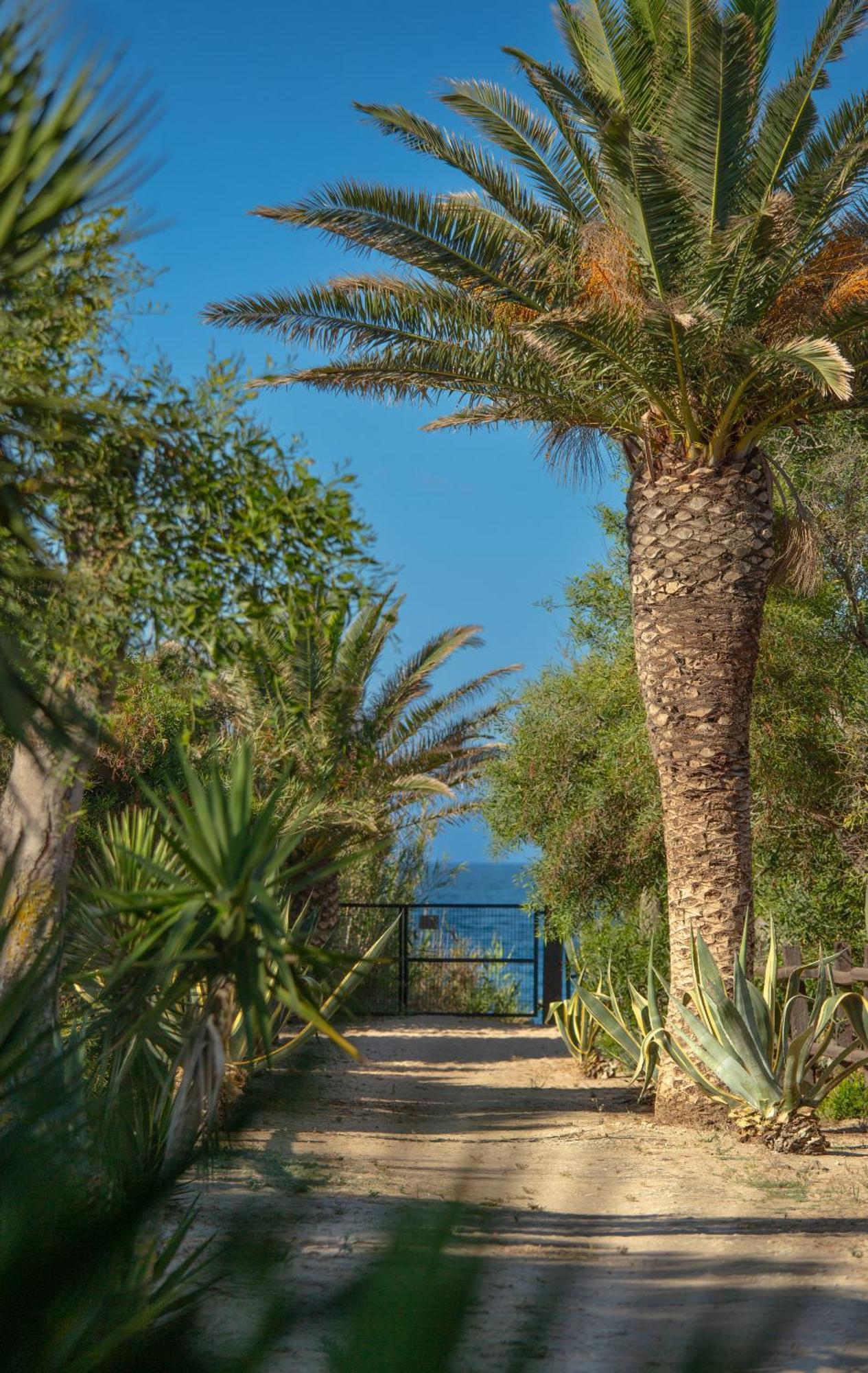 Maison d'hôtes Casara Seis O Casara Siete - Tu Casa A 100M De La Playa De Zahora Extérieur photo