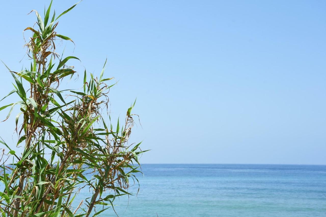 Maison d'hôtes Casara Seis O Casara Siete - Tu Casa A 100M De La Playa De Zahora Extérieur photo