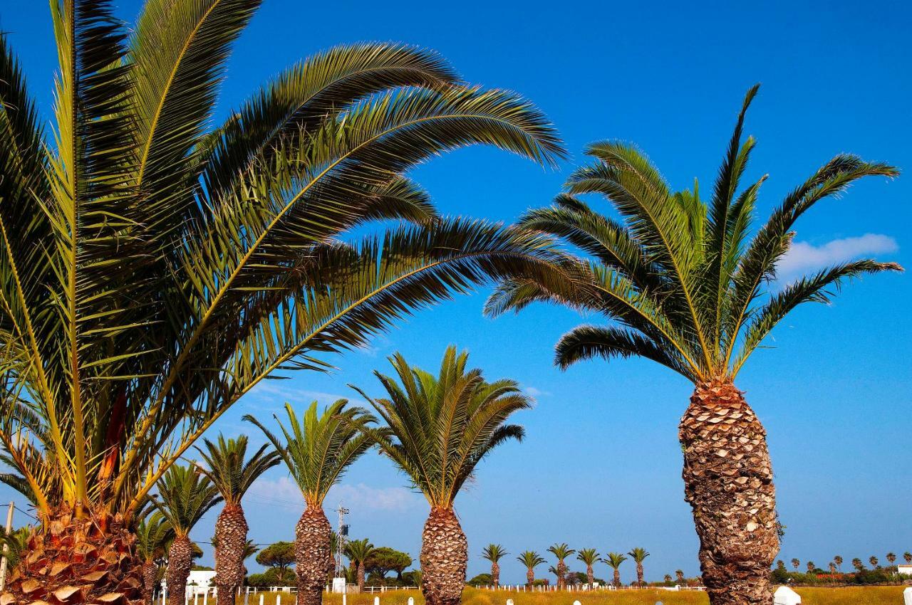 Maison d'hôtes Casara Seis O Casara Siete - Tu Casa A 100M De La Playa De Zahora Extérieur photo