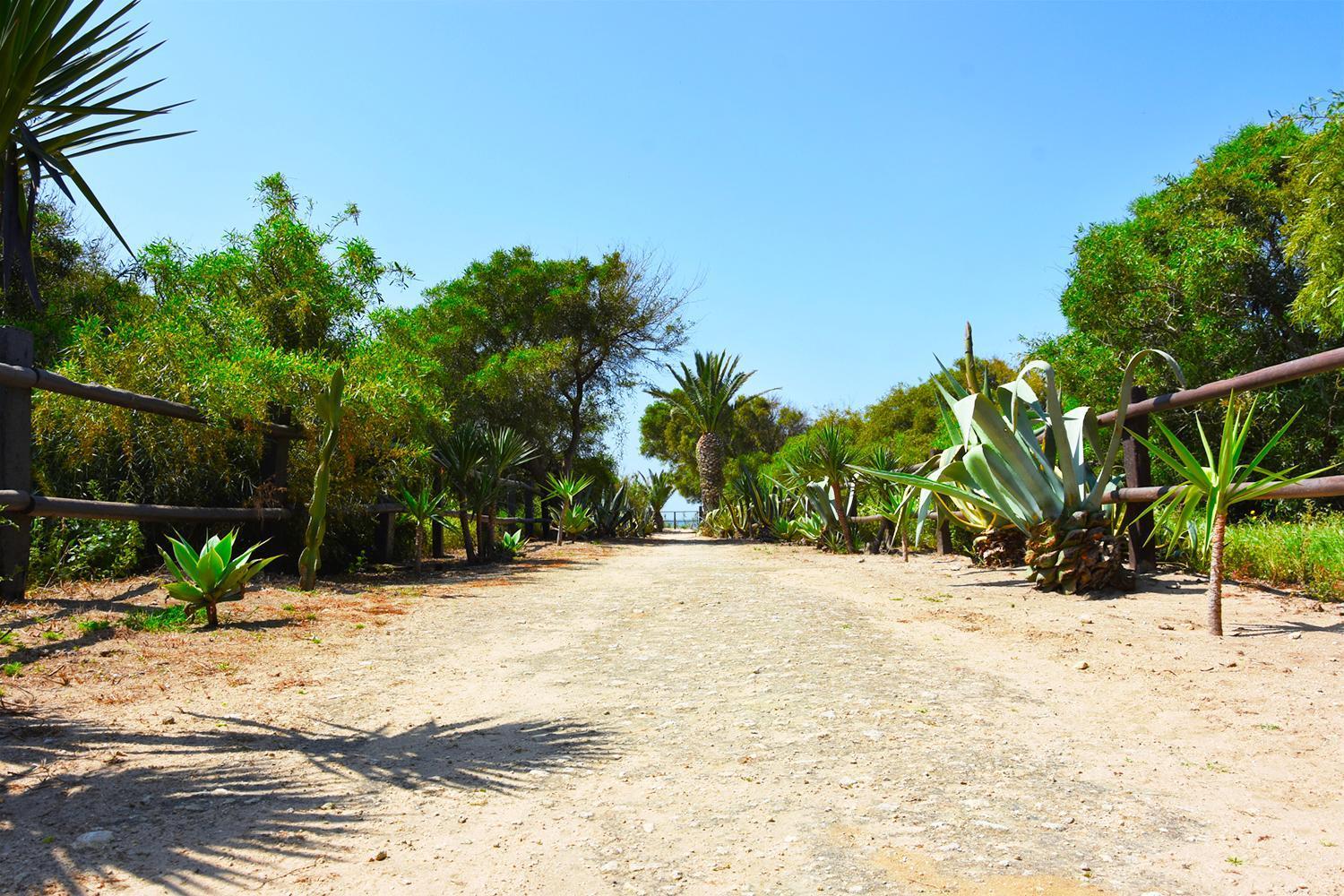 Maison d'hôtes Casara Seis O Casara Siete - Tu Casa A 100M De La Playa De Zahora Extérieur photo