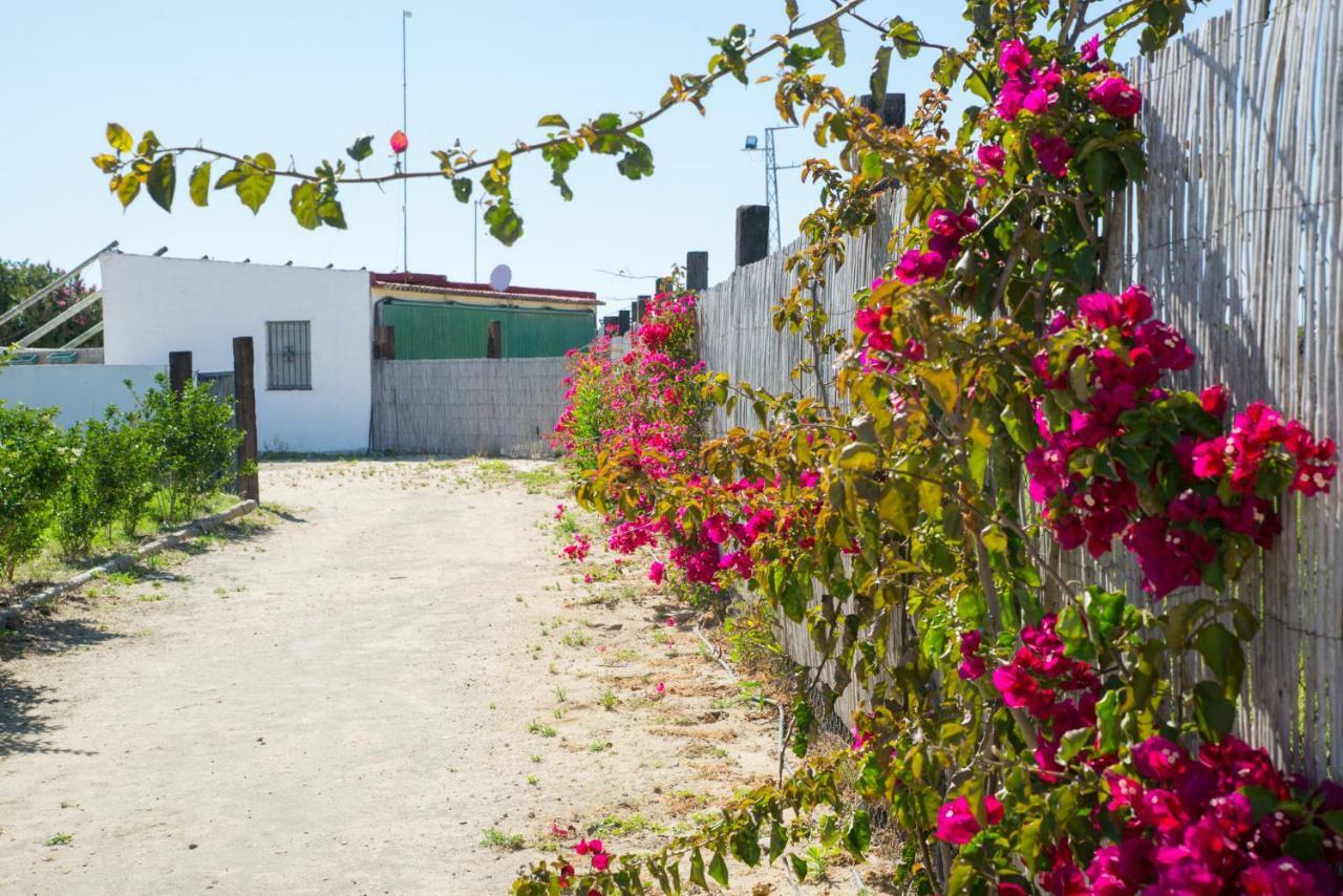 Maison d'hôtes Casara Seis O Casara Siete - Tu Casa A 100M De La Playa De Zahora Extérieur photo