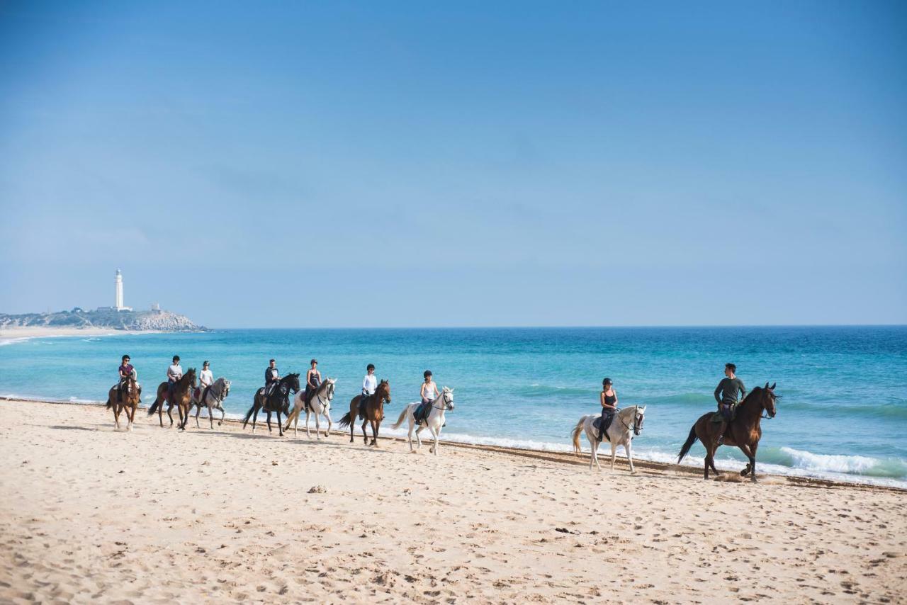 Maison d'hôtes Casara Seis O Casara Siete - Tu Casa A 100M De La Playa De Zahora Extérieur photo